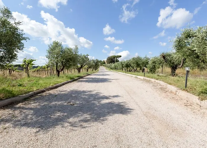Farm stay Grappoli Di Sole