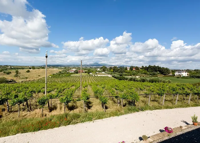 Farm stay Grappoli Di Sole *