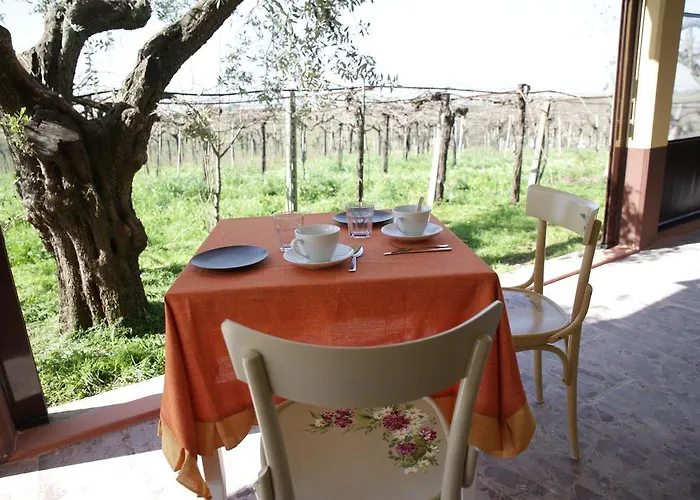 Farm stay Grappoli Di Sole
