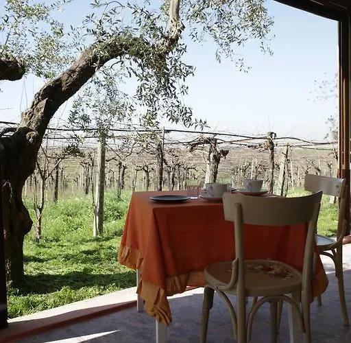 Farm stay Grappoli Di Sole *