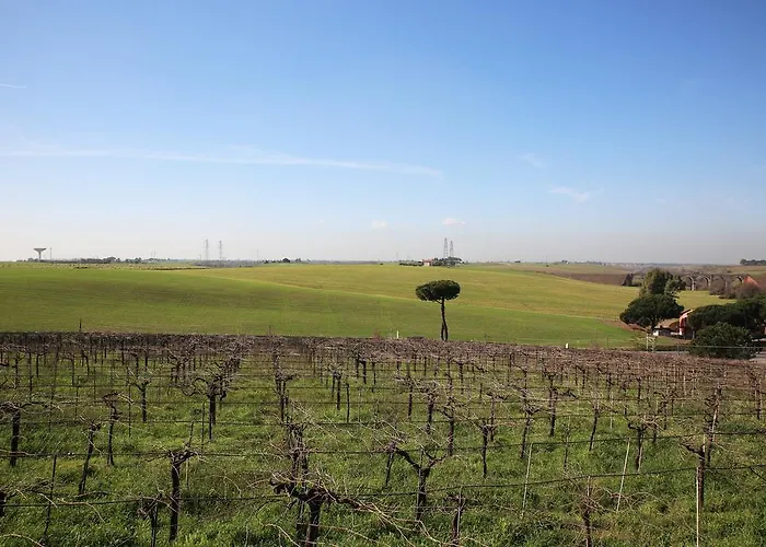 Farm stay Grappoli Di Sole *